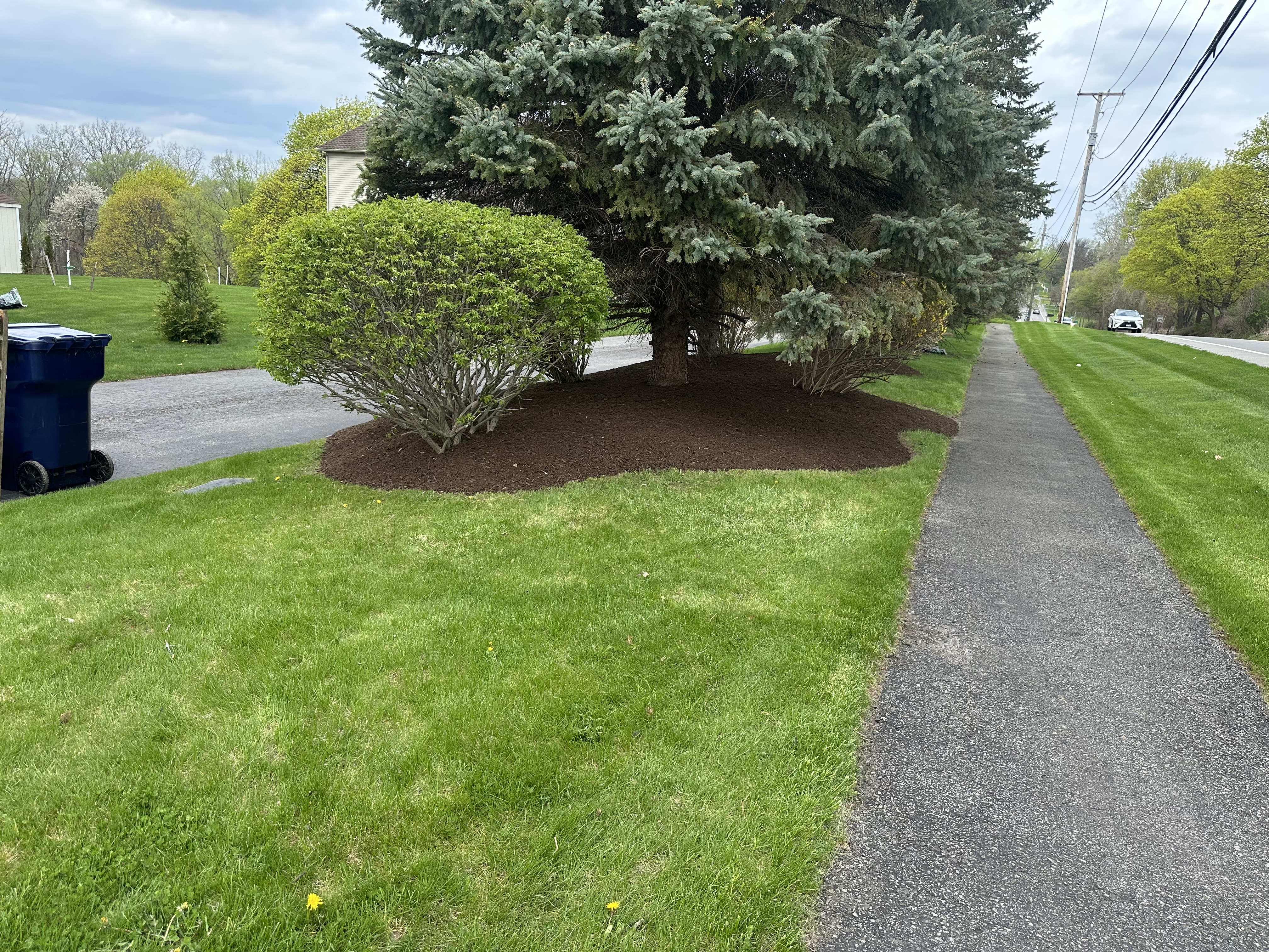 2025 mulch refresh photo 2
